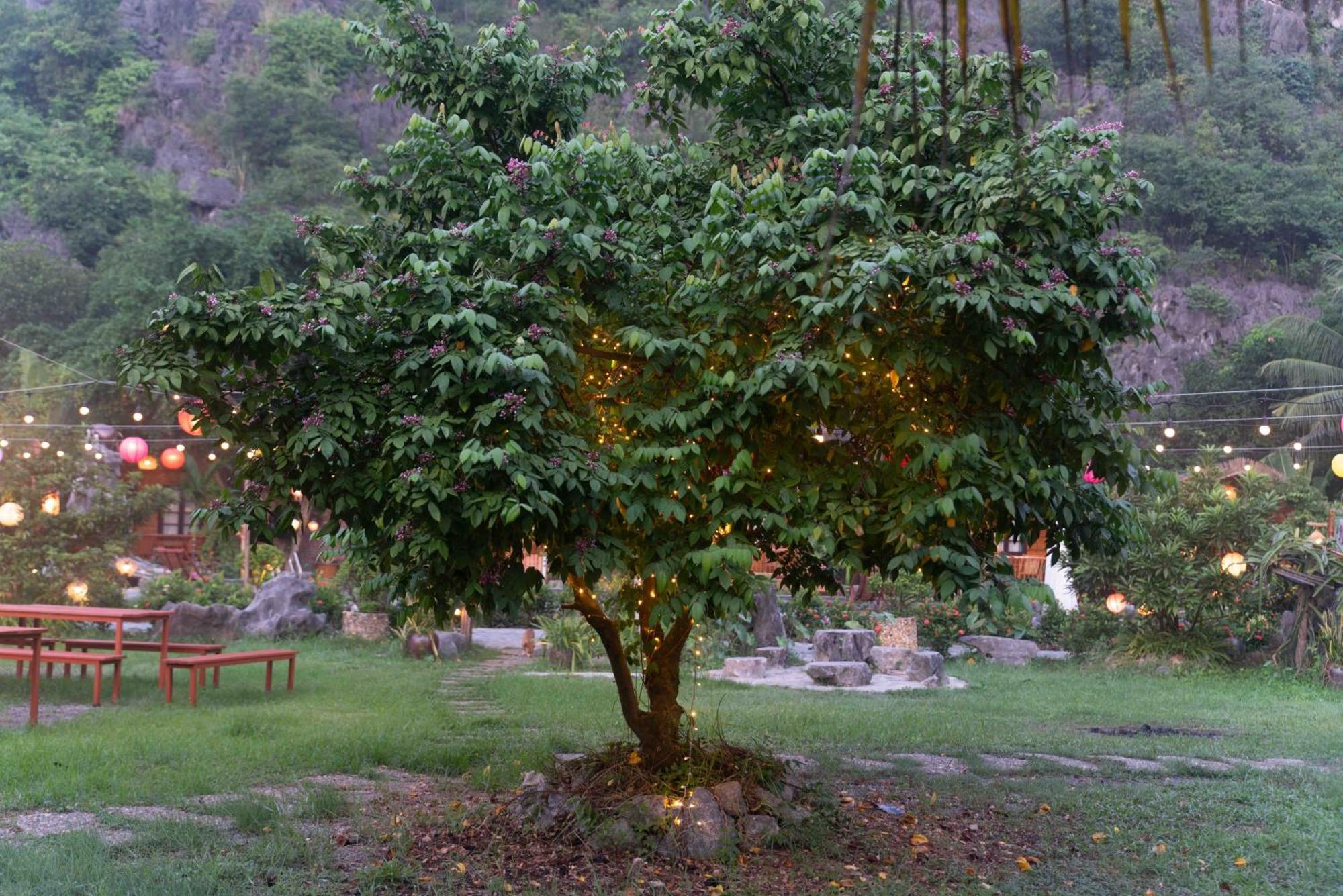 נין בין The Goat Boutique Resort מראה חיצוני תמונה