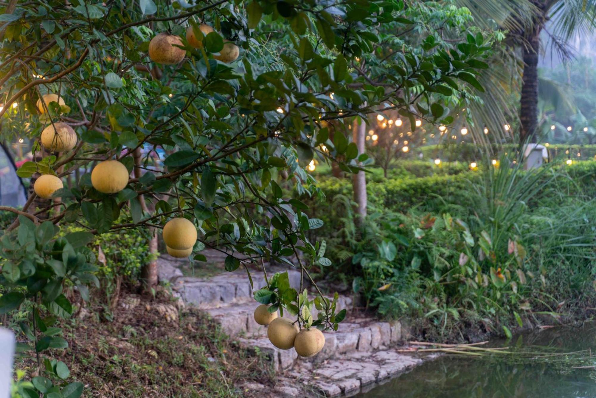 נין בין The Goat Boutique Resort מראה חיצוני תמונה
